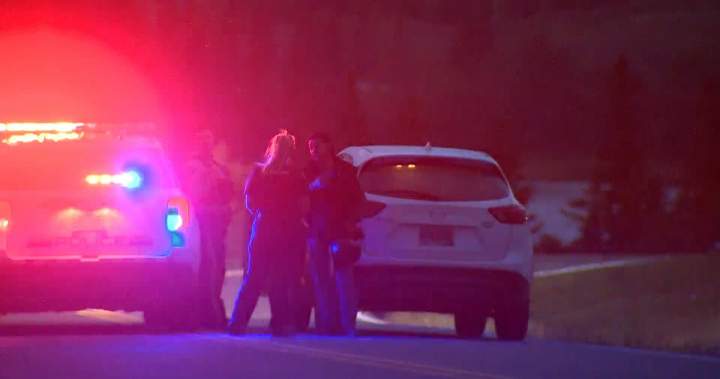 Alberta woman sentenced in impaired driving crash that killed Canadian Forces veteran