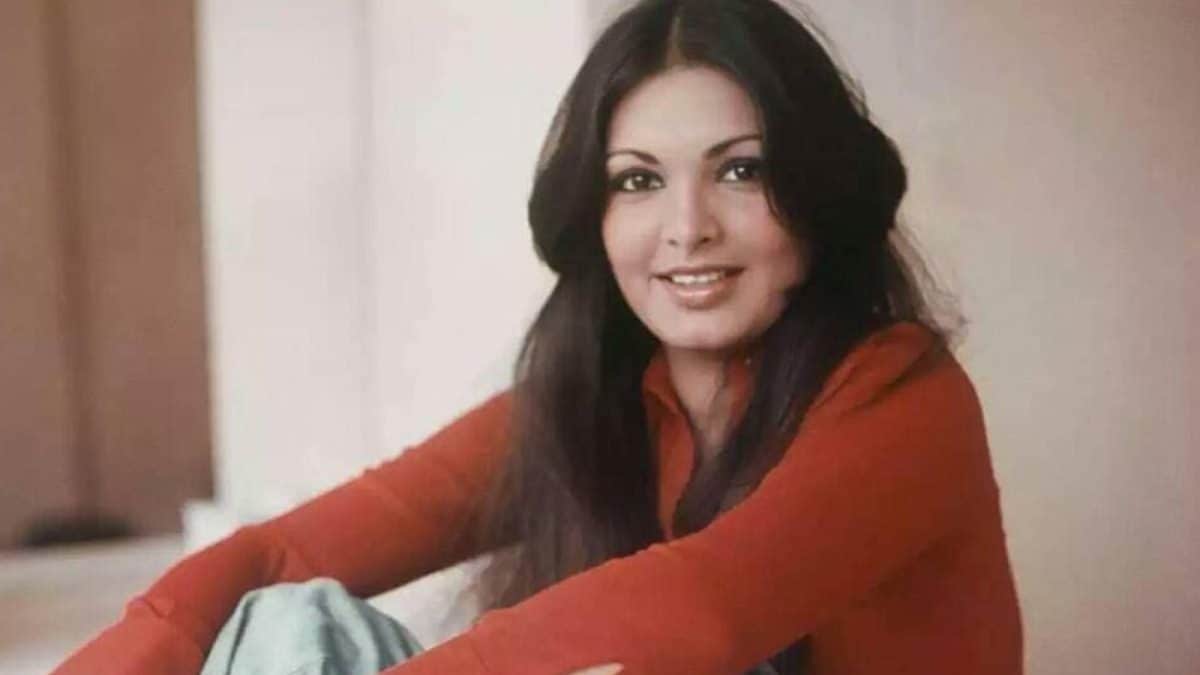 Parveen Babi Only Ate Eggs In Her Final Days, Believed 'The Secret Service' Couldn't Tamper With It