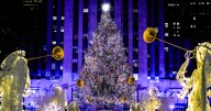 The 2025 Rockefeller Center Christmas tree has been chosen. Here's what to know.