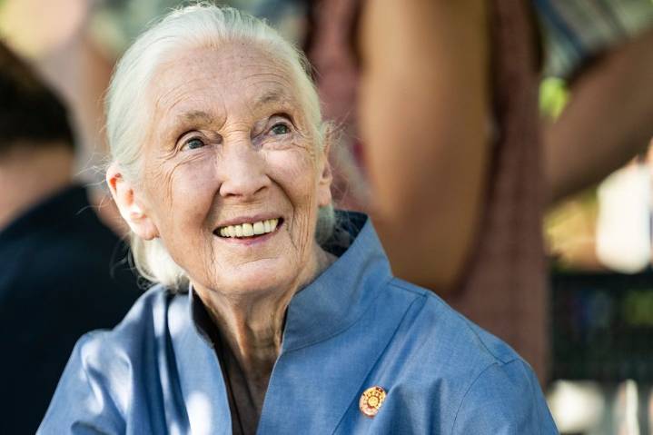 Renowned conservationist Jane Goodall dead at 91