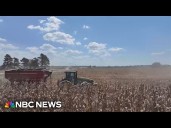 Tariffs among worries for soybean farmers as bankruptcies rise