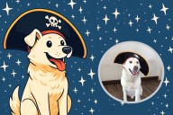 Murió el "Almito" el perro de los astrónomos del Desierto de Atacama