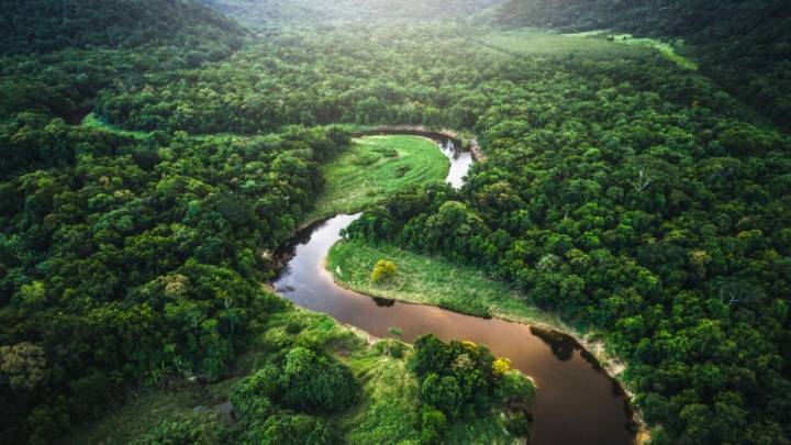 El bosque más grande del planeta Tierra está en América del Sur: produce el 20% del oxígeno del mundo