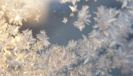 Frosty mornings expected in Chicago