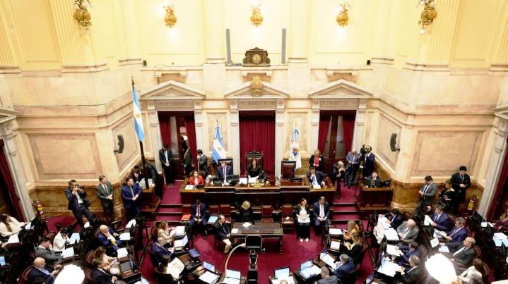 Cómo votó cada senador los vetos de Milei a las leyes de Financiamiento Universitario y de fondos para el Garrahan