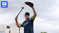 What is a wanger and how is it used in cricket training?