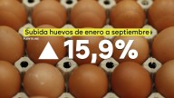 Huevos, a precio de oro: su importe aumenta un 15,9% desde el inicio de 2025