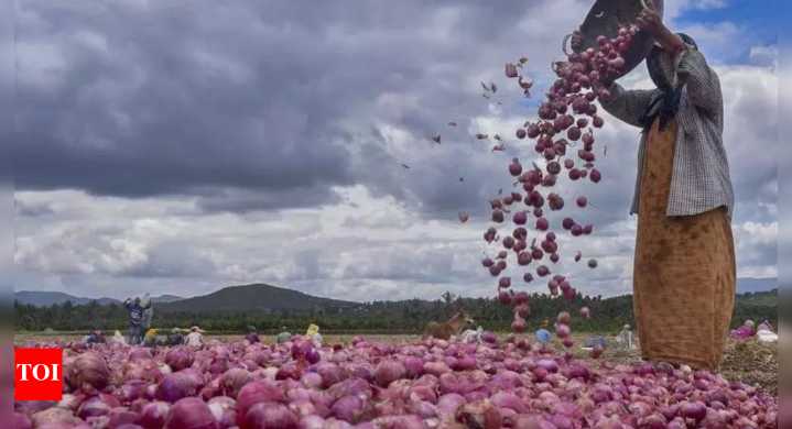 Pune farmer receives only Rs 664 for 7.5 quintals of rain