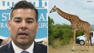 Safari, 5-star resorts: New questions about CA insurance boss' travel