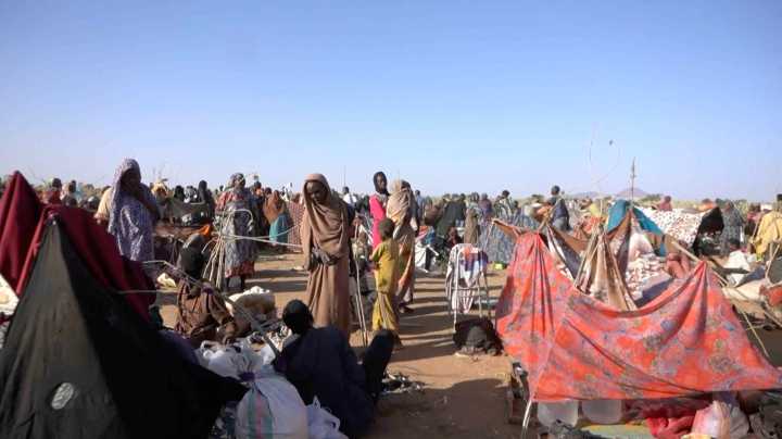 ‘They left us with nothing’: Sudanese flee el
