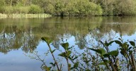 Parking fees hike for two Devon attractions