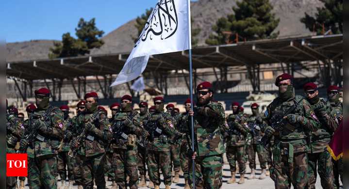 'Revenge op': Taliban claims 58 Pakistani soldiers killed in border clash; issues stern warning