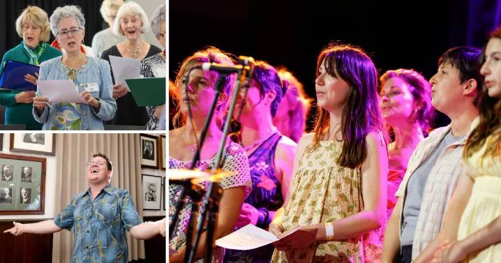 Why choirs of all kinds are making a comeback across the Illawarra