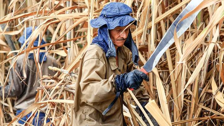 Suben las remesas, cae la nota pensional y crece la alerta por biocombustibles: resumen económico de la semana