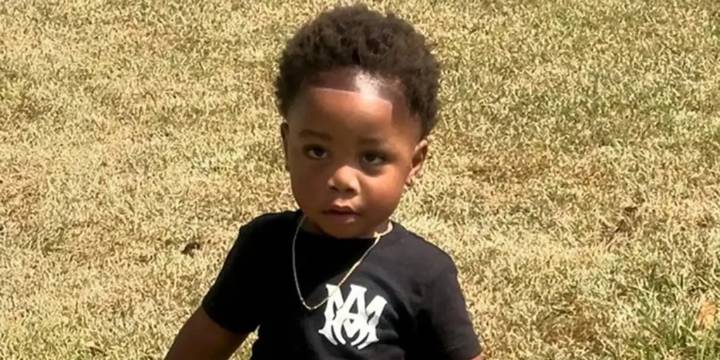 Un niño de dos años murió tras ser atacado por dos perros mientras su cuidadora dormía una siesta