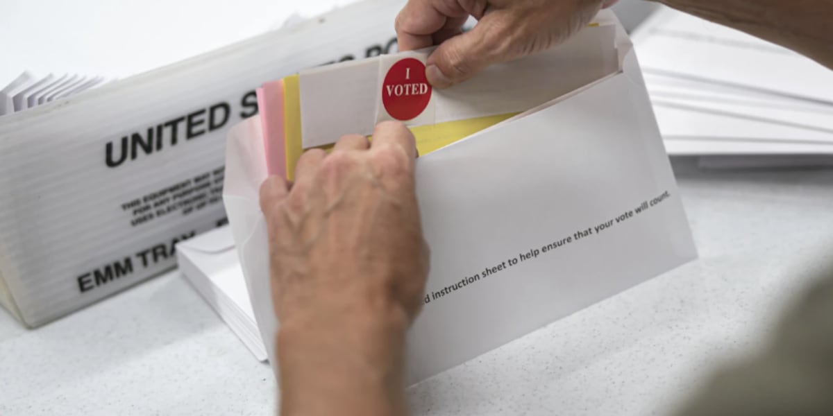 A woman who cast her dead mother’s ballot for Trump in 2024 must write an essay on voting, judge says