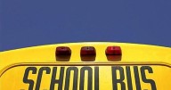 Police say Ferguson man had daughter, 6, punch girl on bus