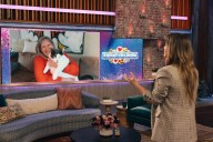 Viral fat cat Patches' owner receives 'thrilling' surprise from 'Kelly Clarkson Show'