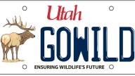 Specialty Utah conservation plate raking in the money
