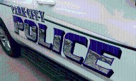 Woman rescued after car goes into Deer Valley pond