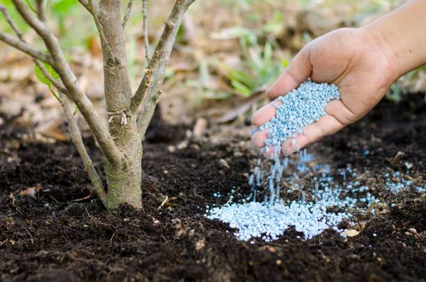 Govt to stop sale of ‘harmful fertilizers, pesticides, and artificial coloring on fruits in J&K’