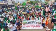 AI city vs agriculture: Farmers rally against government’s 9,000
