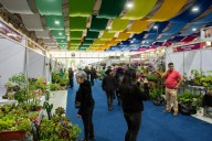 Valdivia celebra la Expo Primavera 2025 con más de 60 expositores y talleres gratuitos: Revisa el programa