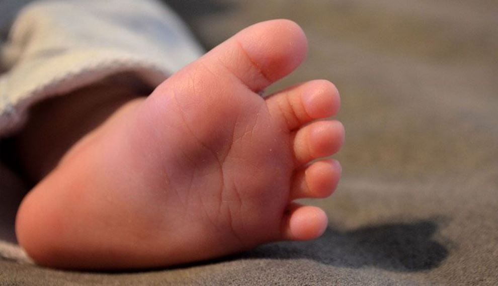 Bebé de dos meses murió por descuido de sus padres mientras peleaban