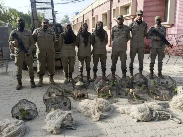 Punjab Wildlife Department arrests 18 in crackdown on illegal hunting, trade