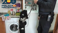 Investigan a un traficante en Burgos por cocaína y se llevan la sorpresa cuando se encuentran un alijo de 500 pastillas de viagra