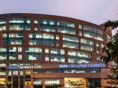 US Senators To TCS: Why Lay Off Americans While Hiring Thousands On H