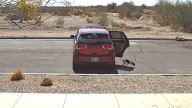 Arizona Woman Caught On Video Throwing A Dog From Her Car With Cold Parting Words