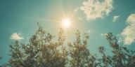 Cielo algo nublado y temperaturas agradables: cómo estará el tiempo durante las elecciones legislativas