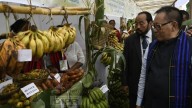 First edition of Wokha Banana Festival 2025 concludes with community fervor and institutional partnerships
