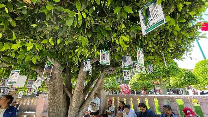 Regresa “Árbol de la Esperanza”, colectivas colocan fichas de búsqueda de sus familiares
