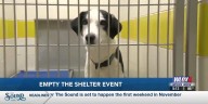 Humane Society of South Mississippi holds 'Empty the Shelter' adoption event