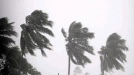 Cyclone Montha: Andhra govt prepares action plan for relief, essential supplies