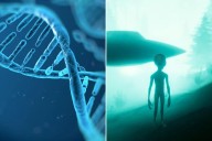 'Alien' DNA lurks inside human genome, scientist claims