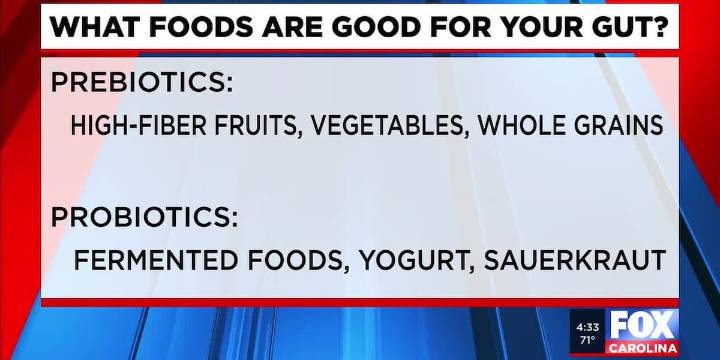 Fact Check: Study finds gut bacteria can absorb PFAS