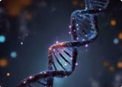 Descubren que el ADN “basura” puede ayudar a combatir el cáncer