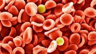 Scientists Identified a New Blood Group After a 50
