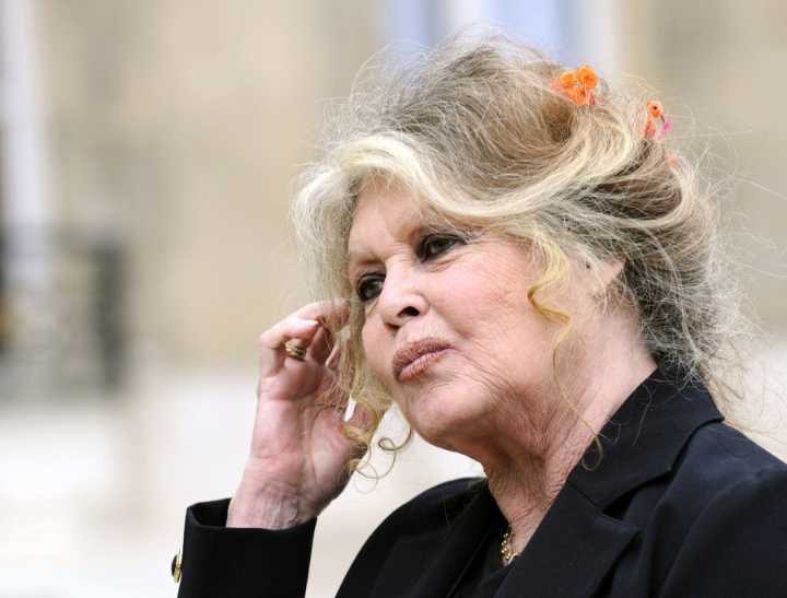 French star Brigitte Bardot, 91, hospitalized with ‘serious illness’