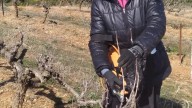 "Cada vez veo más chicas en tractores, pero hay mucha dificultad para acceder"