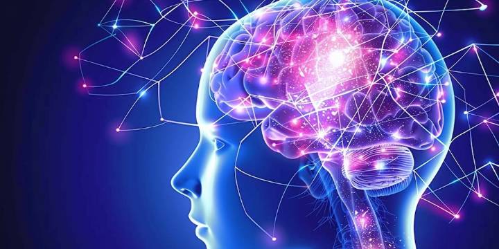 5 decisiones clave en la vida diaria que los neurólogos recomiendan para proteger el cerebro