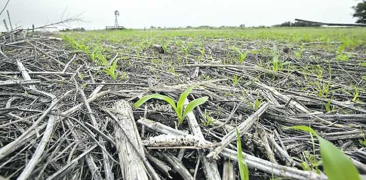 El clima: precipitaciones en el norte y centro del país, con marcada amplitud térmica durante la semana