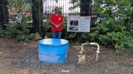 FPJ Positive News: 'Pocket Forest' At Malwani Hospital Turns Into A Green Oasis, Cooling Surroundings And Attracting Wildlife