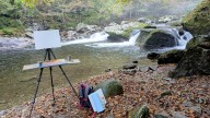 With each brushstroke, plein air painters capture the…
