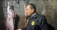 Distribuían carne de burro y caballo en mercados de Trujillo