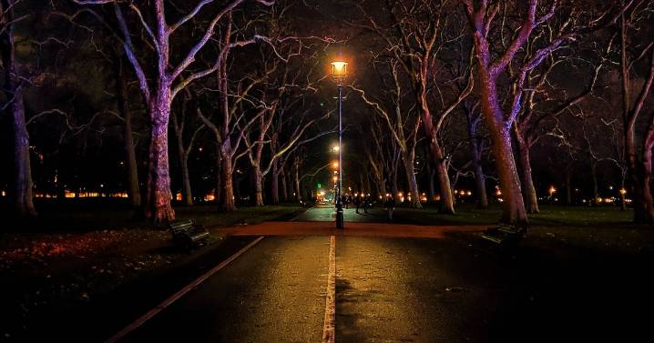 The ‘haunted’ trees in Hyde Park where ghosts lured Victorians to their deaths