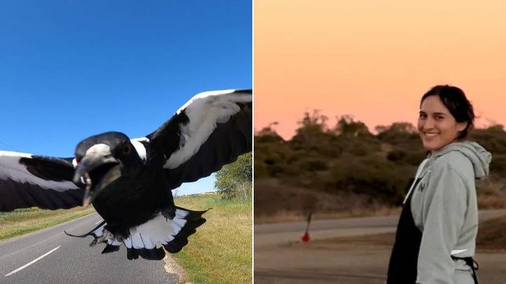 Magpie attack in rural Queensland mining town leaves young Chilean woman with severe facial injuries